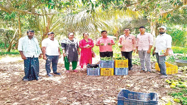 ఆదాయం వచ్చే పంటలను సాగు చేయండి 