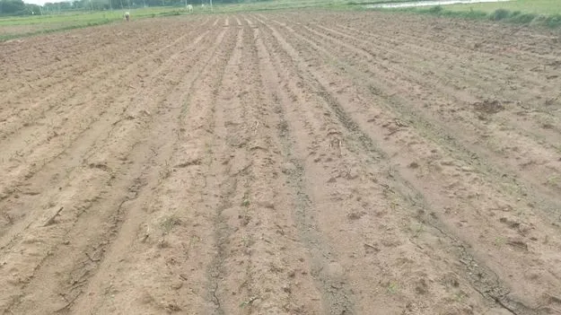 మురిపించి ముఖం చాటేసి..