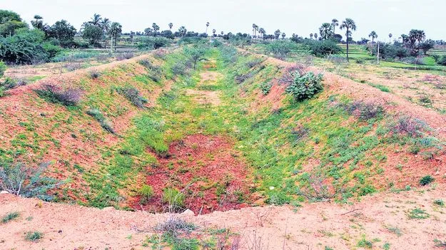 సాగు విస్తీర్ణం పెంపే లక్ష్యం