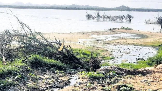 బీబీనగర్‌ చెరువుకు కాలుష్య ముప్పు తప్పినట్టే!