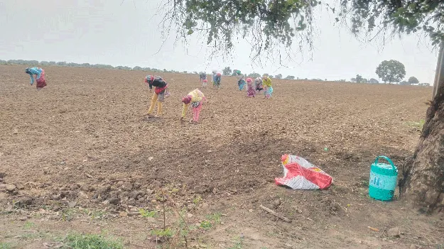 kumaram bheem asifabad- చినుకు పడదు.. చింత తీరదు