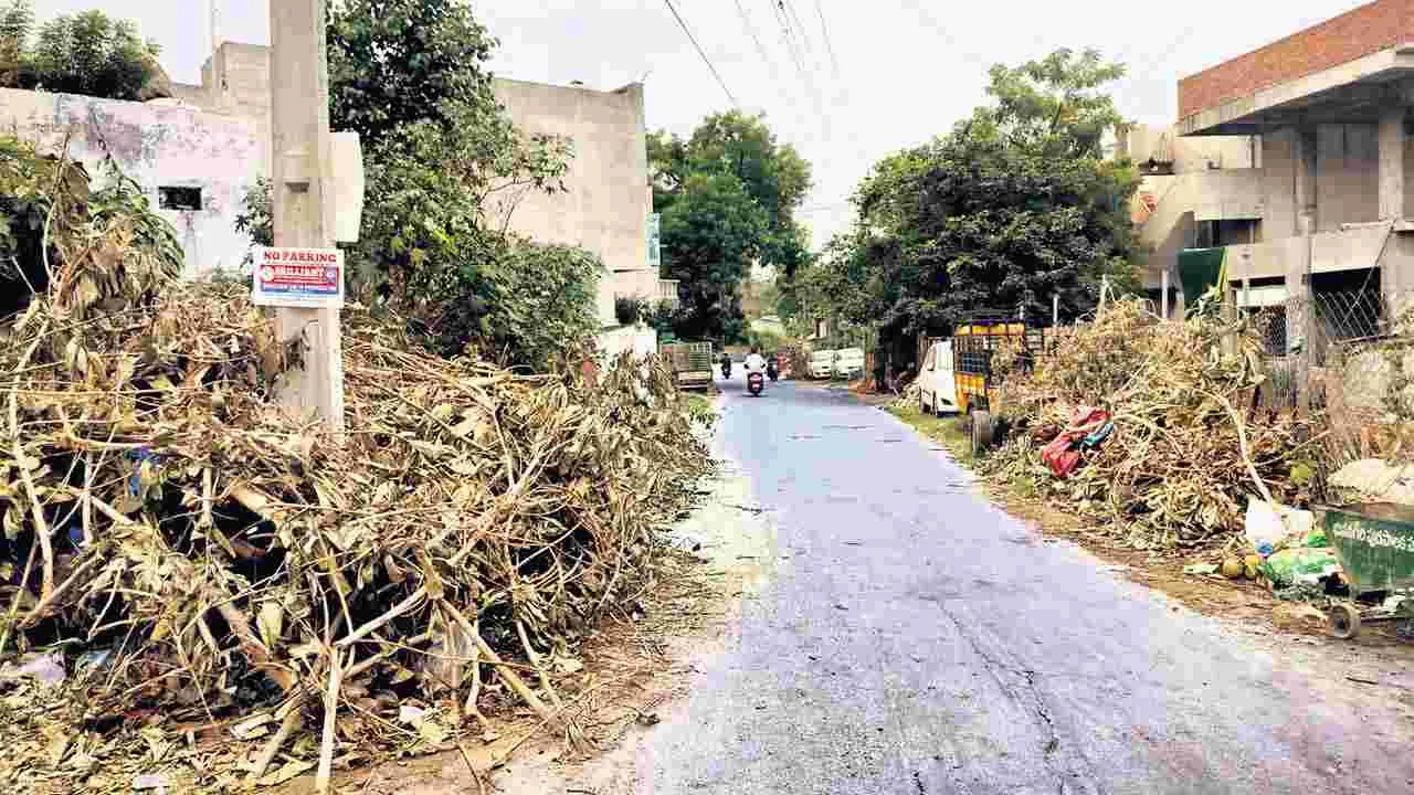 వ్యర్థాలు తరలించరూ!