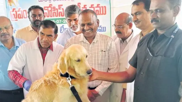 పెంపుడు జంతువులకు టీకాలు వేయించాలి