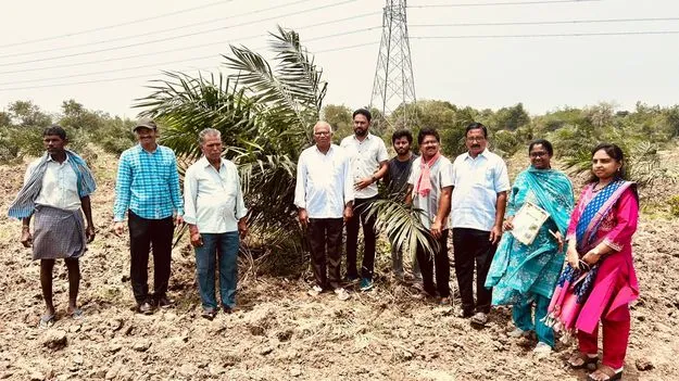 ఉద్యాన పంటల సాగుపై రైతులకు అవగాహన