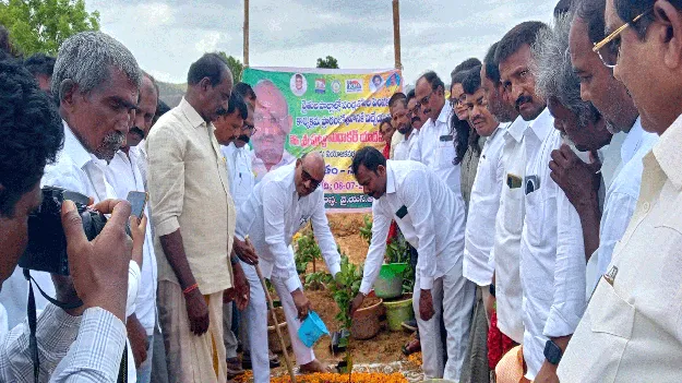 రైతులు పండ్లతోటలు సాగు చేయాలి