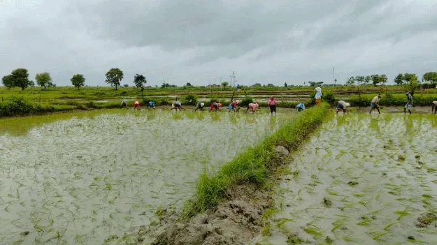 kumaram bheem asifabad- పంటలకు ఊపిరి