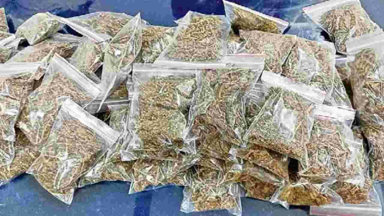 Drug Bust: భాయ్‌.. బచ్చా ఆగయా..!
