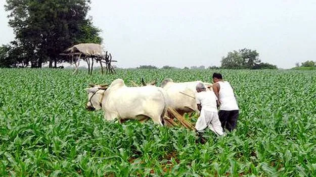 Natural farming: జాతీయ ప్రకృతి వ్యవసాయ పథకం కింద గ్రాంట్లు