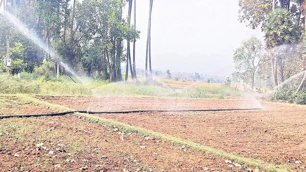 బిందు, తుంపర సేద్యానికి ప్రోత్సాహం