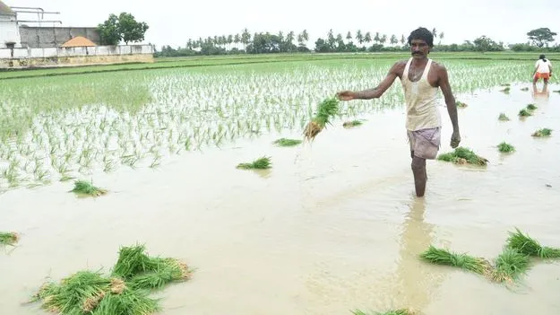 పంటలకు బీమా ధీమా
