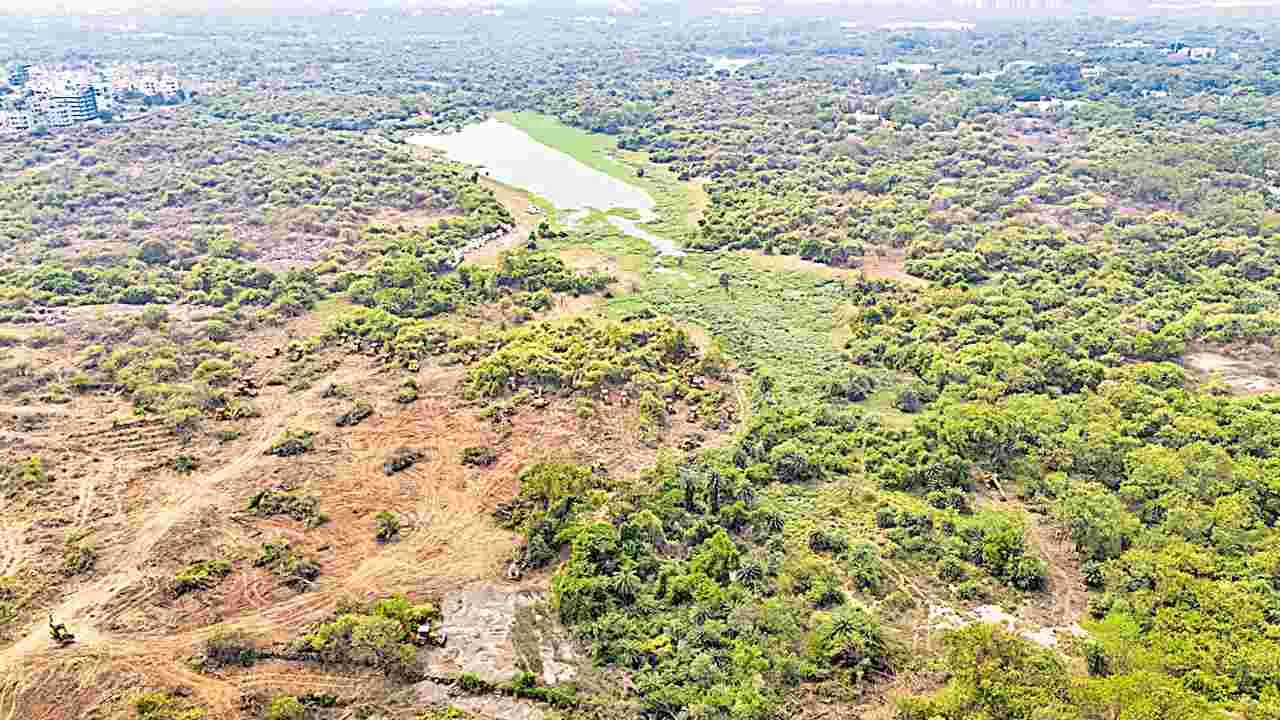Gachibowli Forest Land: అది అటవీ భూమి కానేకాదు