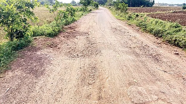గుంతల దారులు...