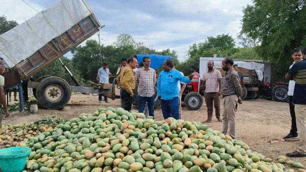 పెరిగిన మామిడి ధరలు