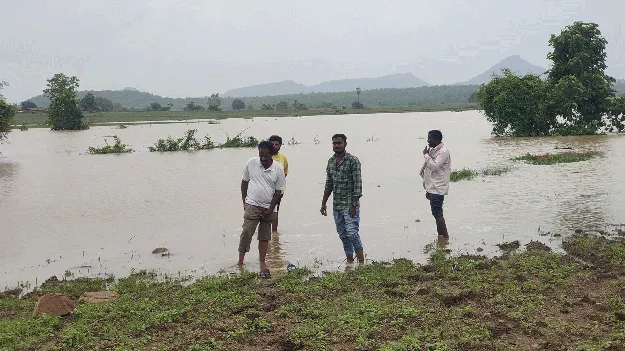 kumaram bheem asifabad- పంటల పరిశీలన