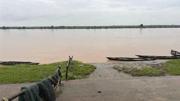 kumaram bheem asifabad- జిల్లాలో ముసురు వాన