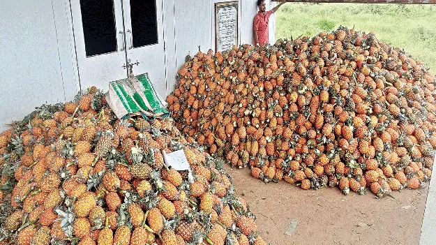 సీజన్‌ ముగుస్తున్నా ధర పెరగలే