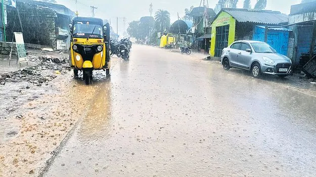 వీడని వాన 