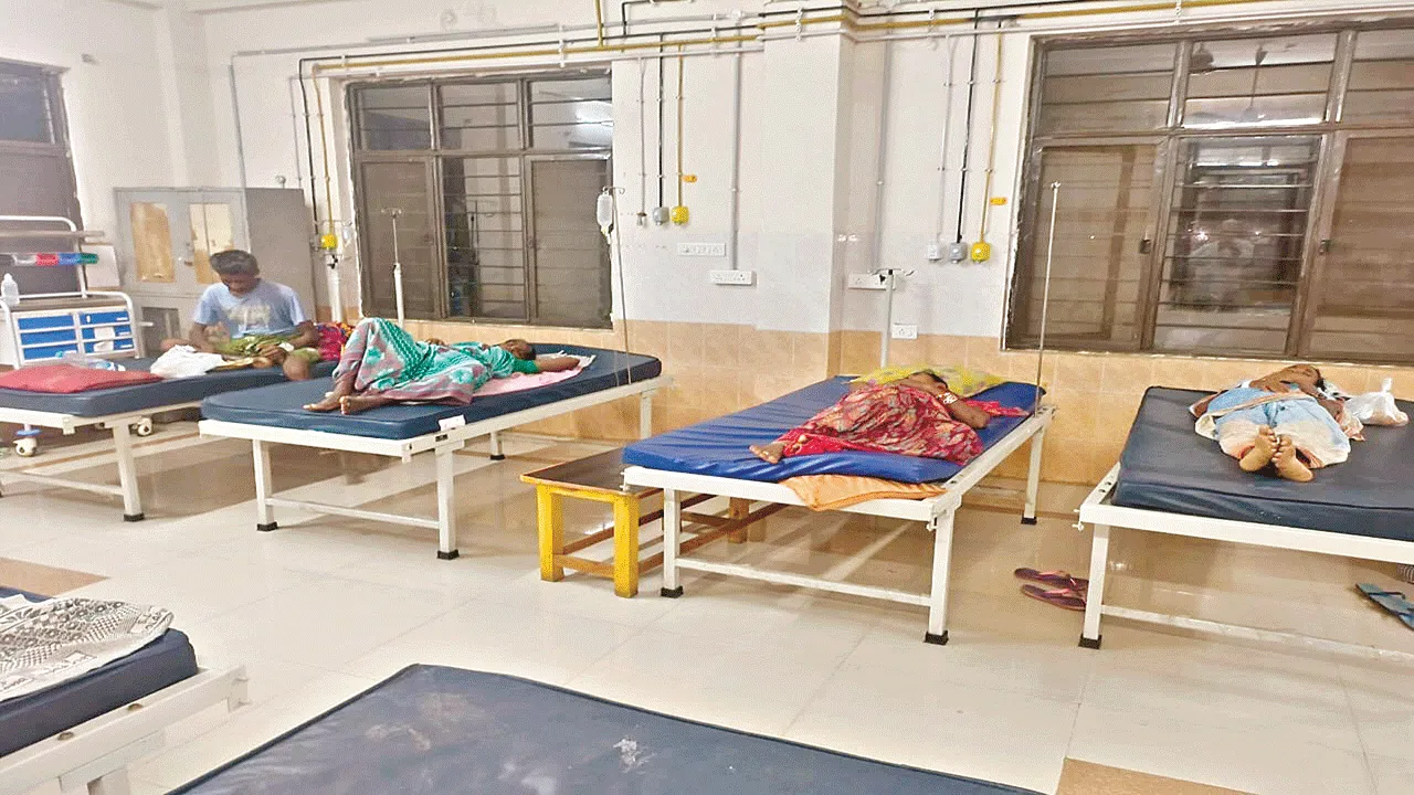 feavers: మంచం పట్టిన ఊరు