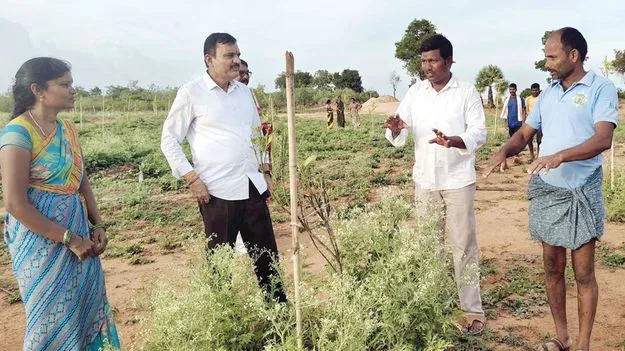 పండ్ల తోటల పెంపకానికి తోడ్పాటు