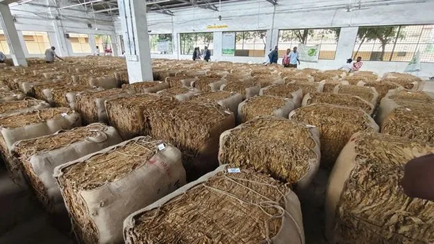 రైతులకు.. ‘పగాకు’