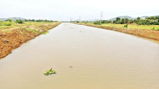 వంశధార కాలువలో జలకళ