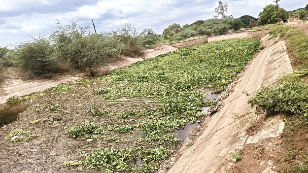 కాల్వలు ఇలా...నీరు పారేదెలా...?  