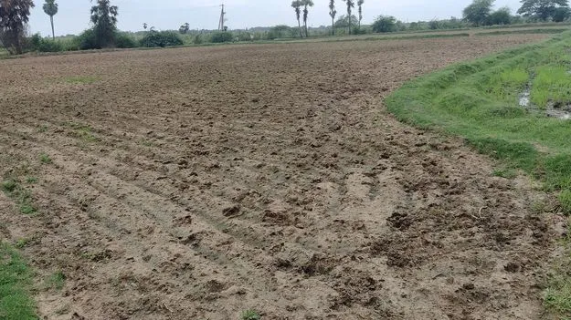 చినుకు జాడేది..?