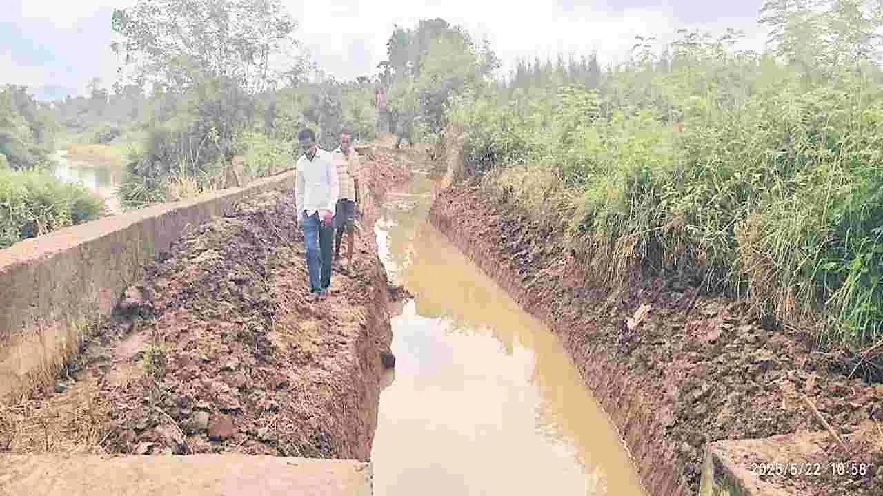 అన్నదాత ఆనందం