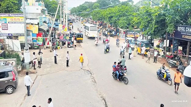 వలస పక్షులు