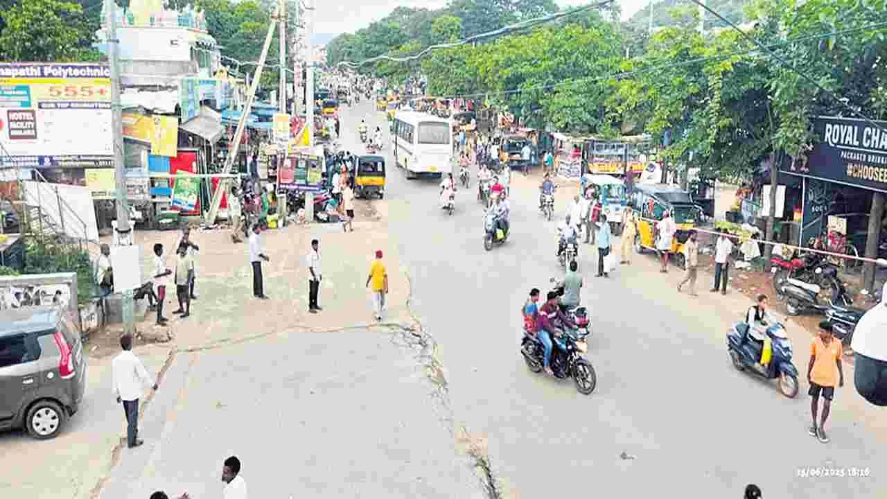 వలస పక్షులు