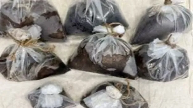 Opium Seizure: రాజస్థాన్‌ నుంచి నల్లమందు.. 3.5 కిలోల పట్టివేత