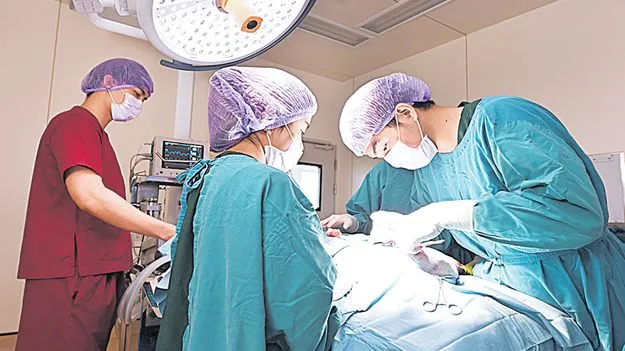 Normal Delivery: కడుపు‘కోత’ల్లో టాప్‌ 