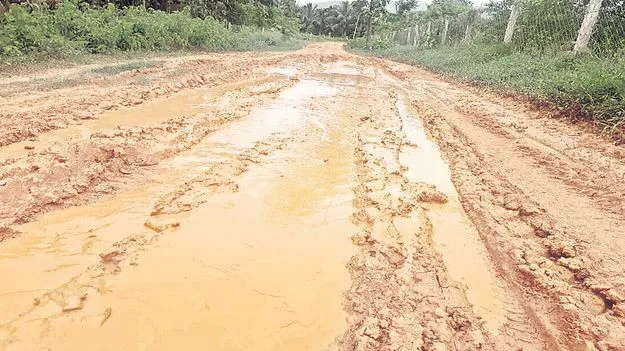 బురద దారిలో బిక్కుబిక్కుమంటూ...