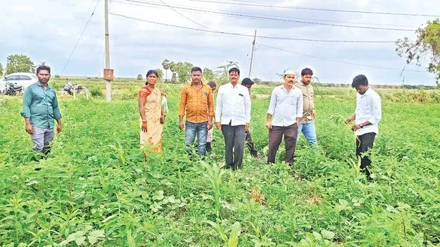 ప్రకృతి వ్యవసాయంపై దృష్టి సారించాలి: డీపీఎం