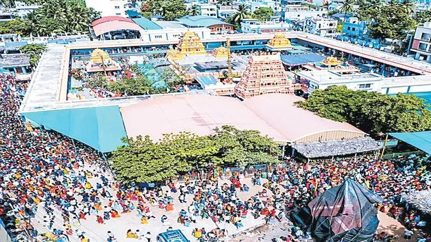 ప్రత్యేక..పర్యవీక్షణ!