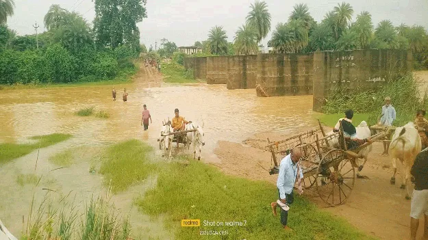 kumaram bheem asifabad- ఎడ తెరిపి లేని వర్షం