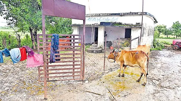 Adilabad: చదువుకు సెలవు.. పశువులకు నెలవు