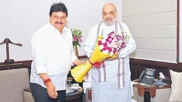 BJP Amit Shah: గొడవలను మాకు వదిలేయండి