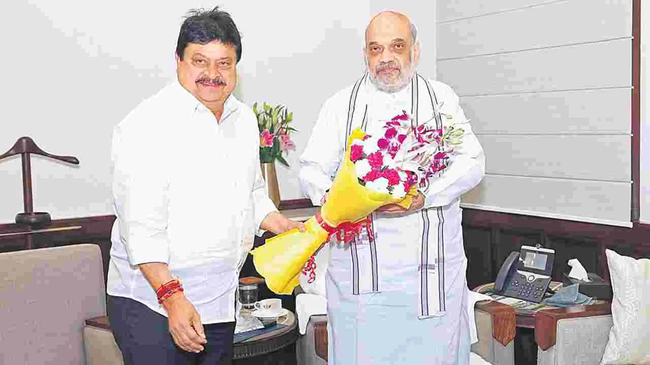 BJP Amit Shah: గొడవలను మాకు వదిలేయండి