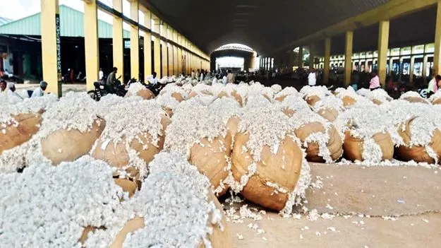 పత్తి ధర క్వింటా రూ.7,979