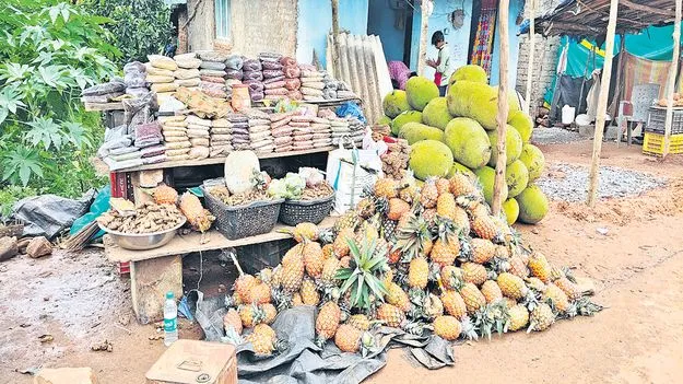 జోరుగా అనాస, పనస విక్రయాలు