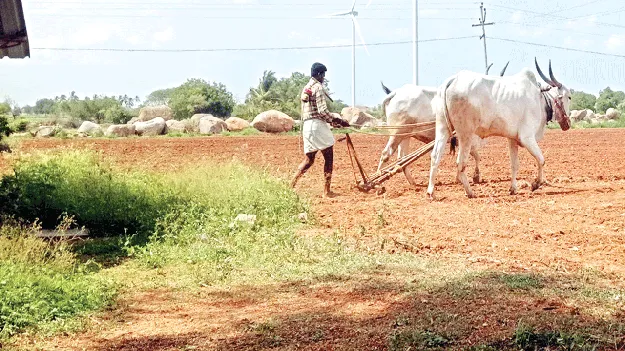 రైతన్నా జాగ్రత్త!