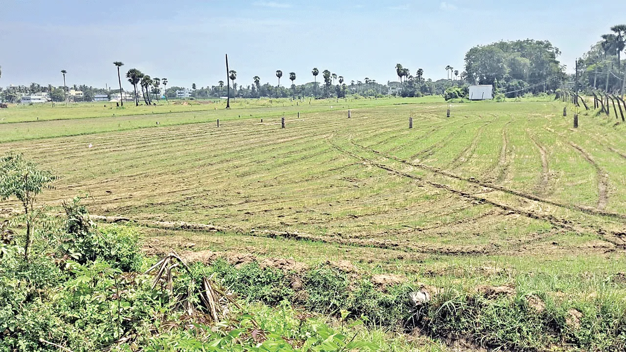 సాగు నీటికి కటకట!