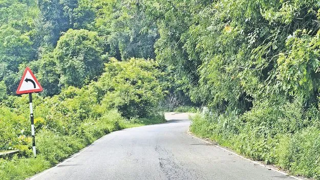 ఘాట్‌లో తుప్పలతో తిప్పలు