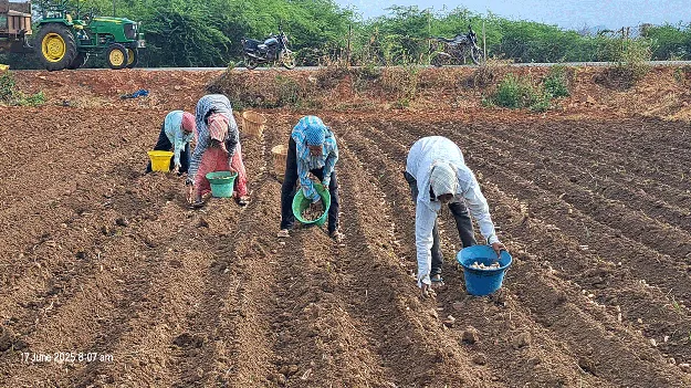 ఖరీఫ్ సాగులో రైతన్నలు బిజీబిజీ