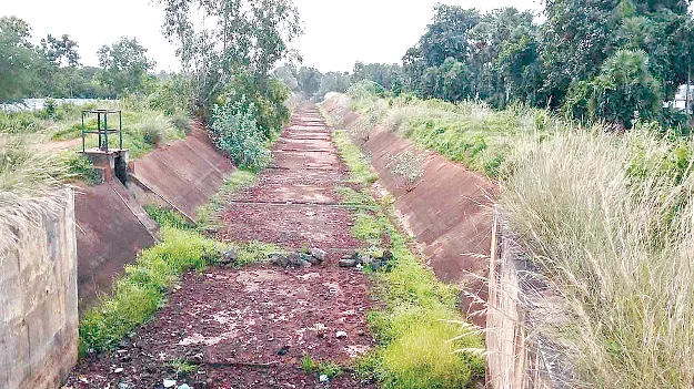 సాగునీరేదీ?
