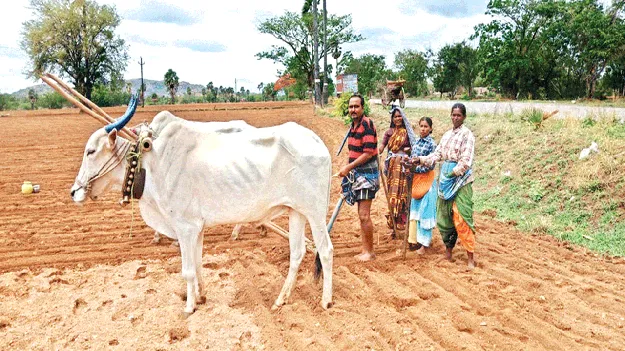 రైతు ఖుషీ