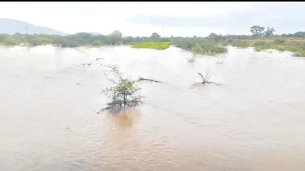 ఎన్నాళ్లకెన్నాళ్లకు..