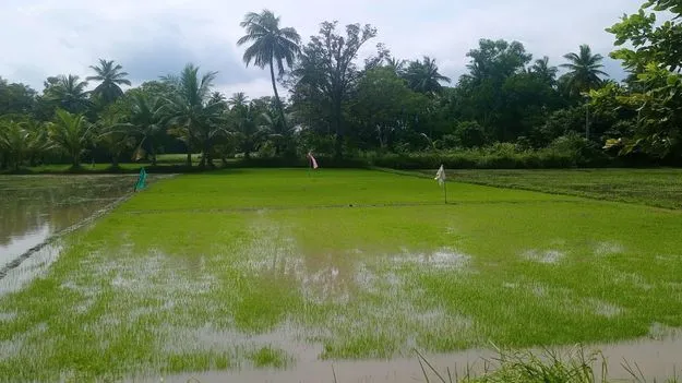 కరుణించిన వరుణుడు