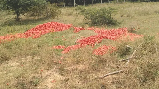 రైతు కడుపుమండింది